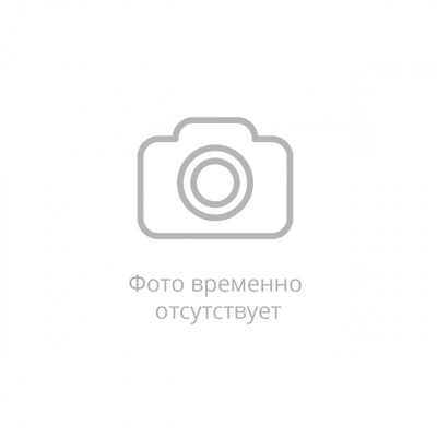 Ручной душ REMER Absolute (317SSXVX), нержавеющая сталь